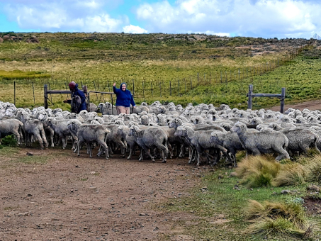 Eastern Cape Highlands Passes and some secret places