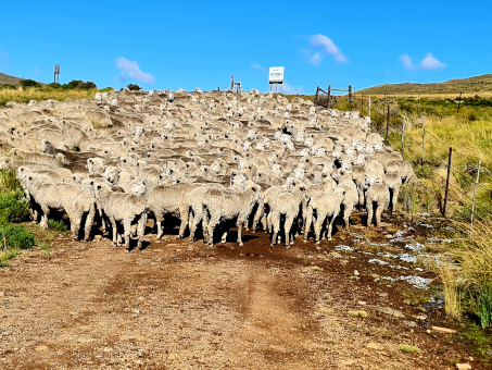 Eastern Cape Highlands Passes and some secret places